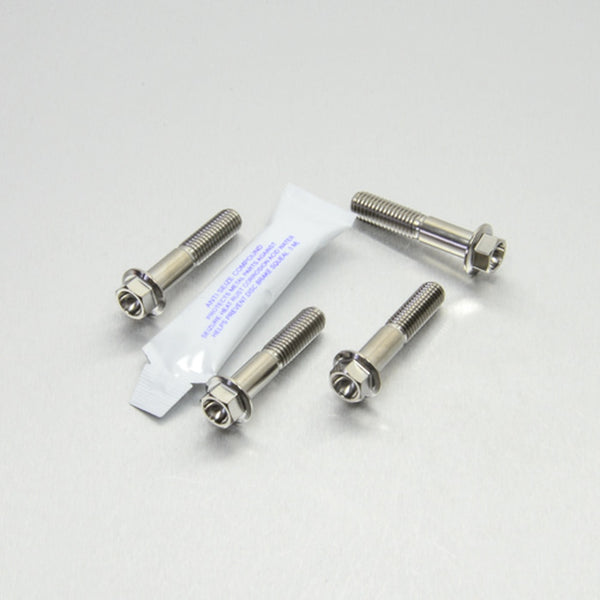 Titanium Front Axle Pinch Bolt Kit 08-20 Hayabusa and 01-08 GSXR 1K